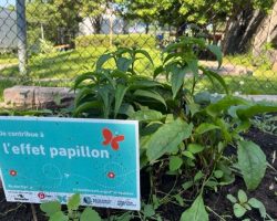 thumbnail_IMG_8675-Caroline-Arel